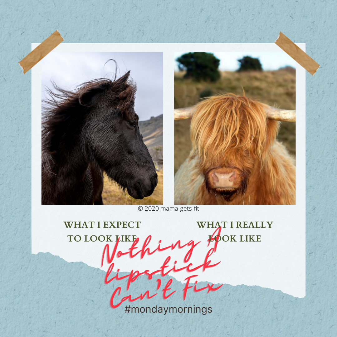 30 Funny Quotes & Memes to brighten your day 