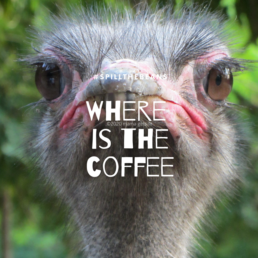 30 Funny Quotes & Memes to brighten your day 