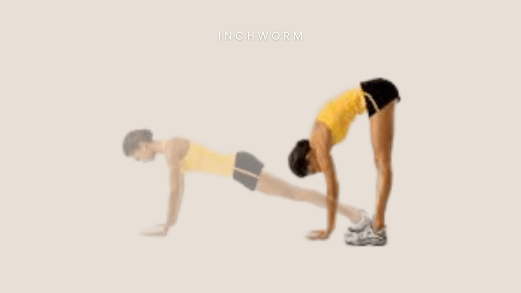 stability mobility inchworm